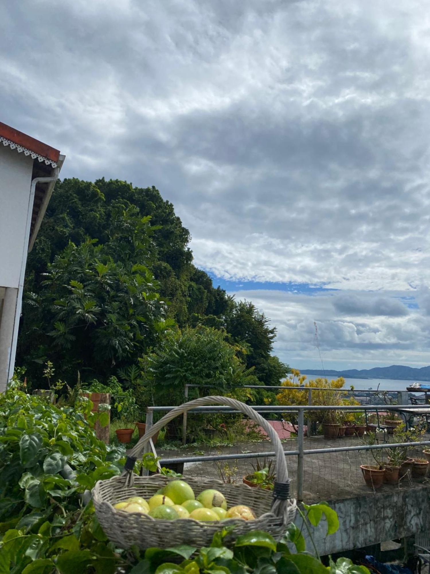 La Porte Du Paradis Vila Fort-de-France Exterior foto